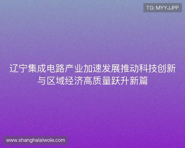 辽宁集成电路产业加速发展推动科技创新与区域经济高质量跃升新篇